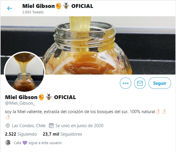 Miel Gibson - twitter